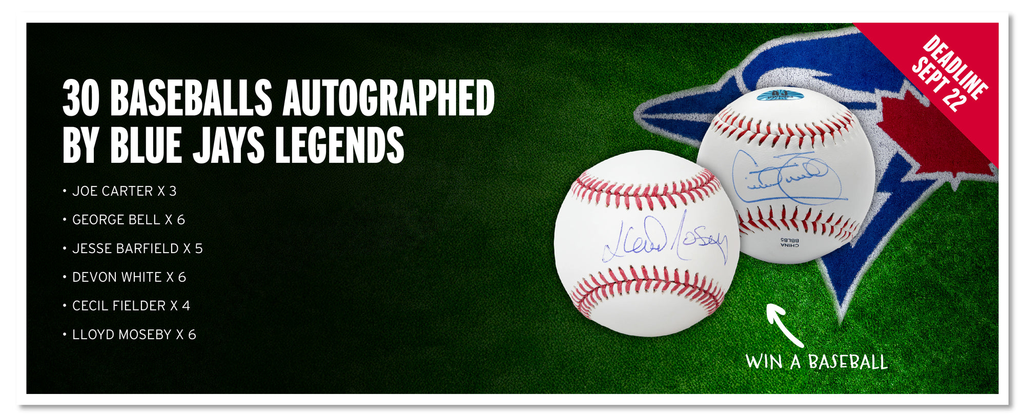 Bonus Raffle – Jays Care 50/50